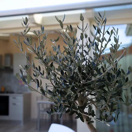 Holiday home Re Sole Vacanze - Esclusivo Attico M A R T E Con Spaziosissima Terrazza Solarium Attrezzata *